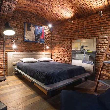 Appartement Loft 
